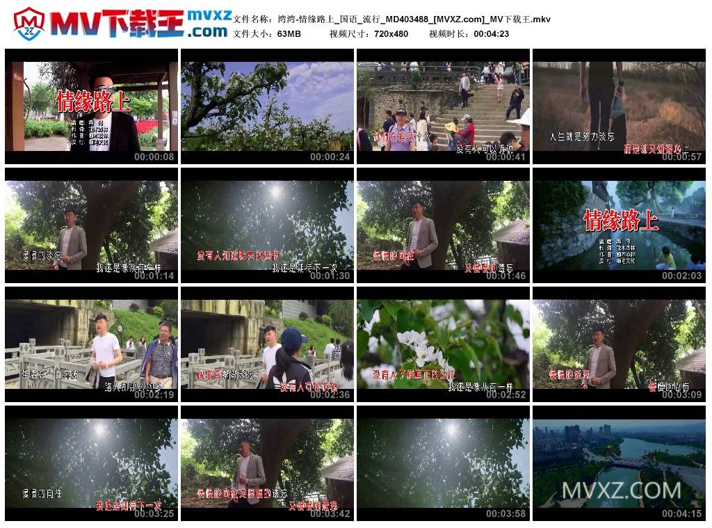 湾湾-情缘路上_国语_流行_MD403488